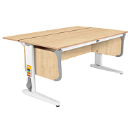 СУТ.49-01 парта дэми сут.49 с задней полкой Дэми  парта дэми сут.49 с задней полкой Дэми СУТ.49-01